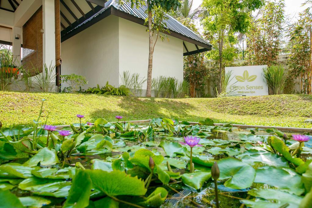 Citrus Waskaduwa Hotel Bentota Ngoại thất bức ảnh